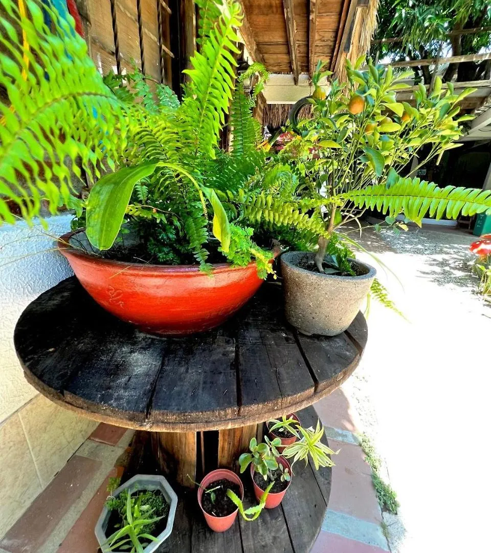 Guest house Hostal Kaia Santa Marta