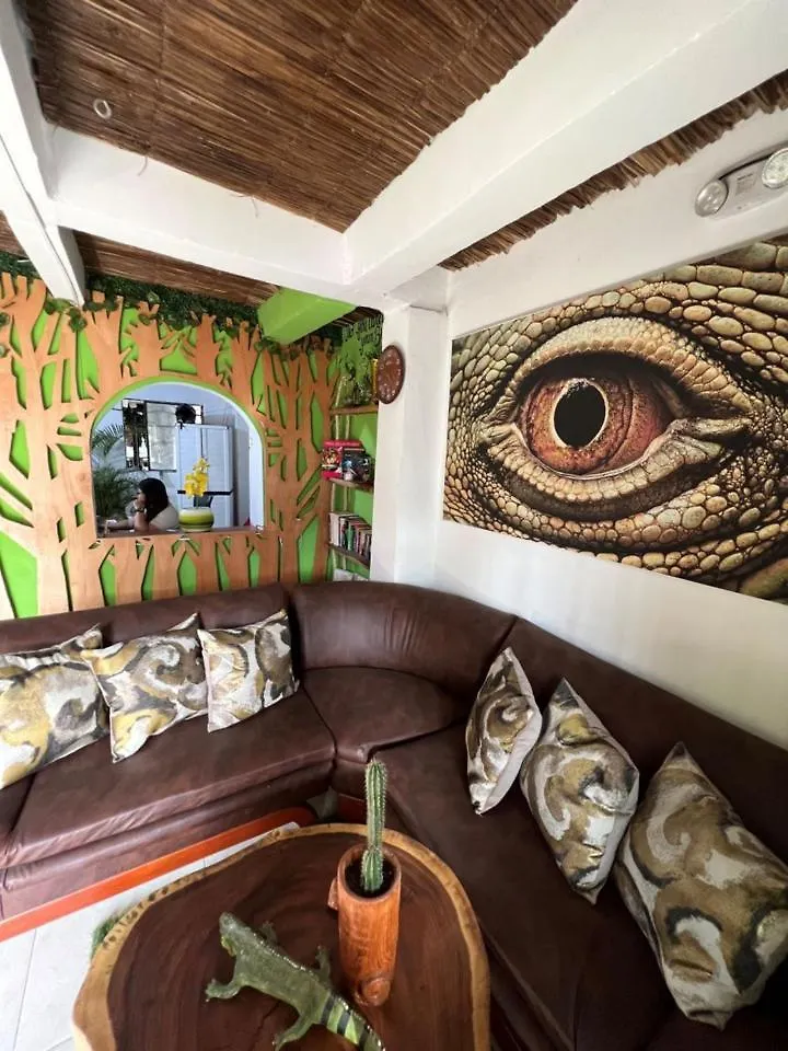 ** Guest house Hostal Kaia Santa Marta  Colombia