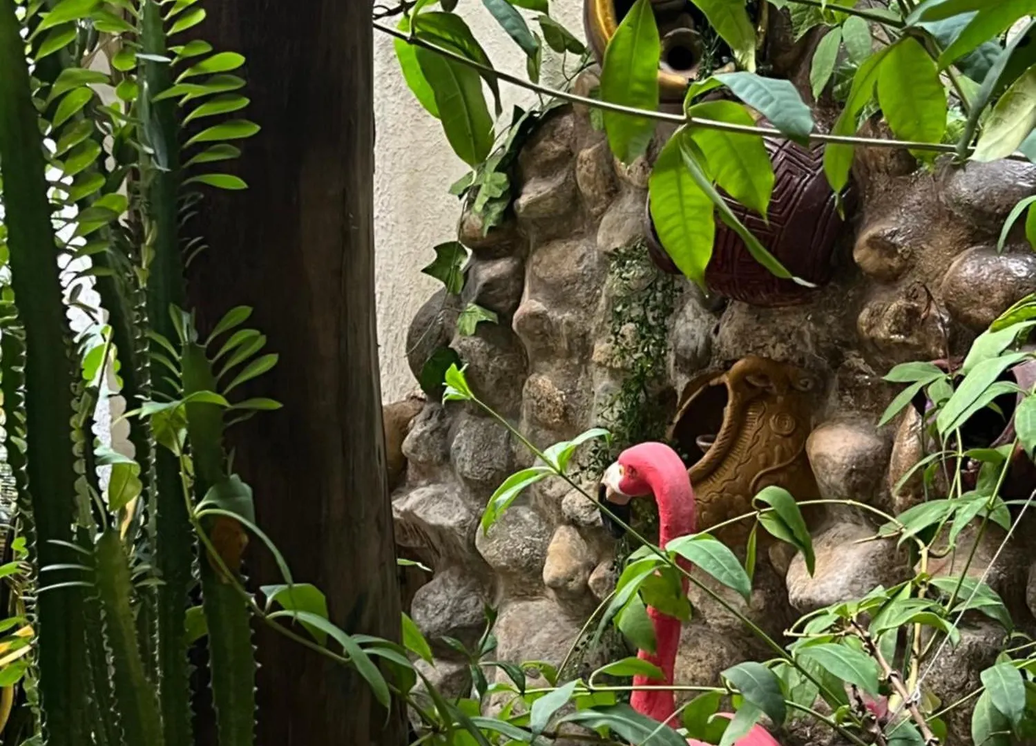 Hostal Kaia Santa Marta  Colombia