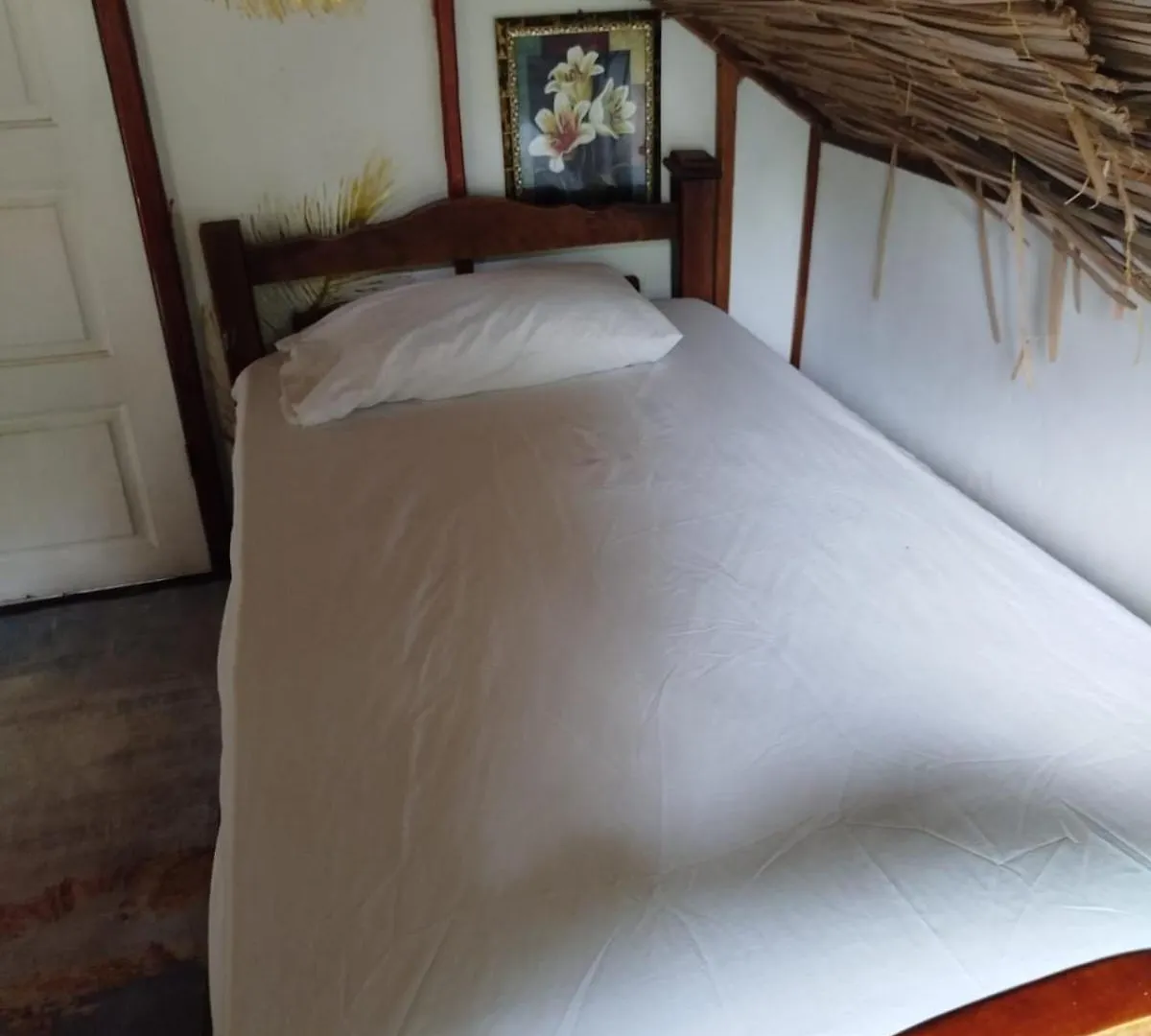 ** Guest house Hostal Kaia Santa Marta  Colombia